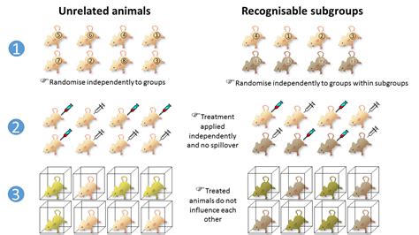 biological replication vs pseudoreplication.